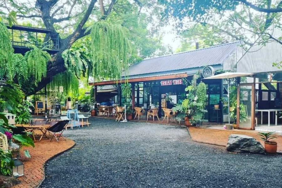 thiet-ke-quan-cafe-san-vuon-don-gian-20