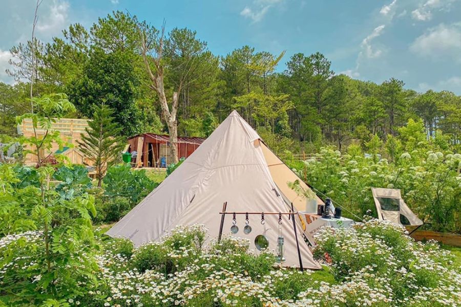 thiet-ke-quan-cafe-camping-11