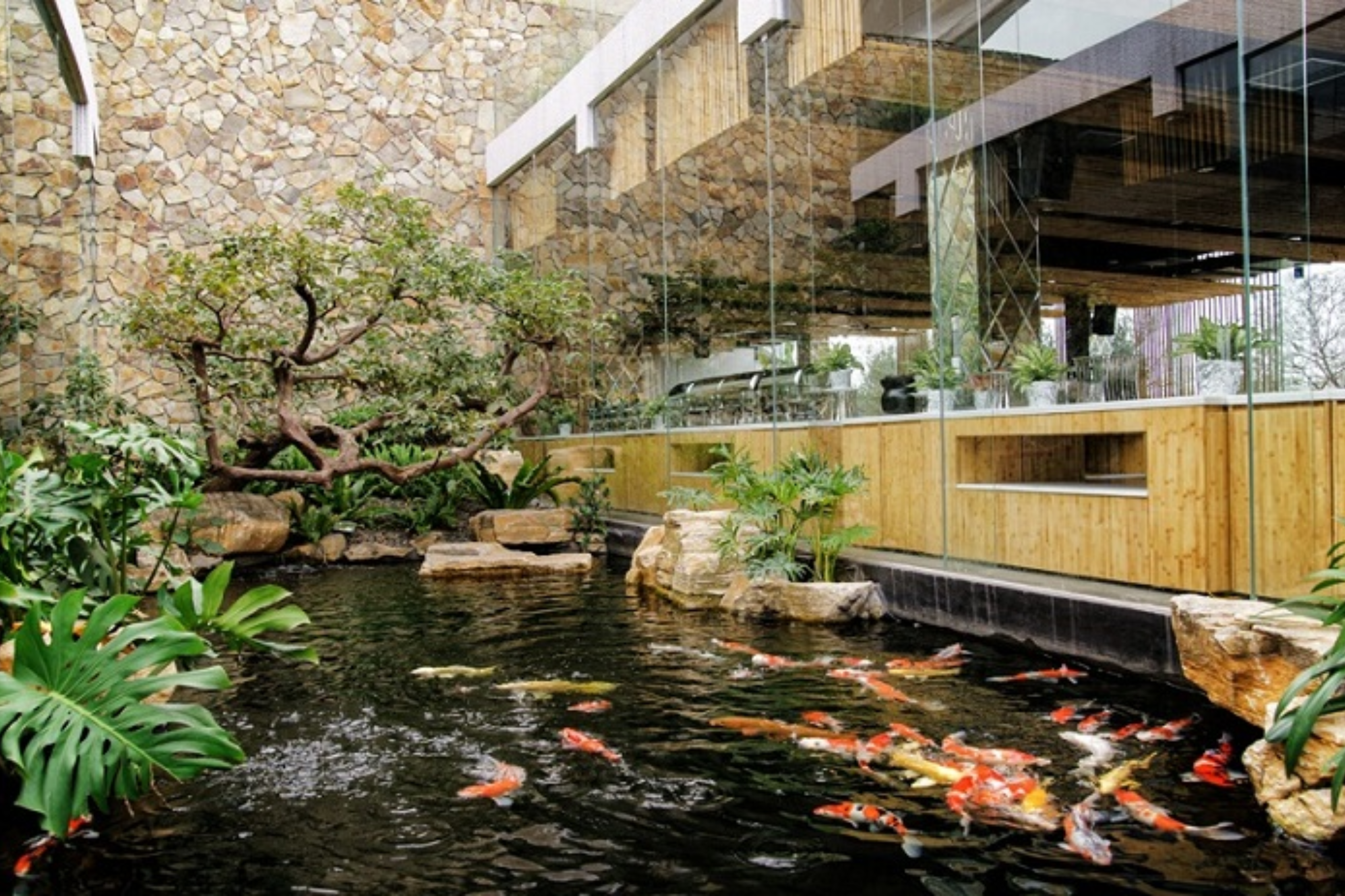 thiet-ke-quan-cafe-ca-koi-11