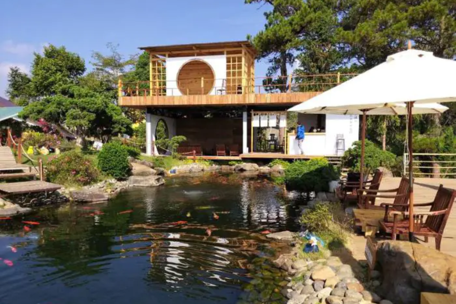 thiet-ke-quan-cafe-ca-koi-18