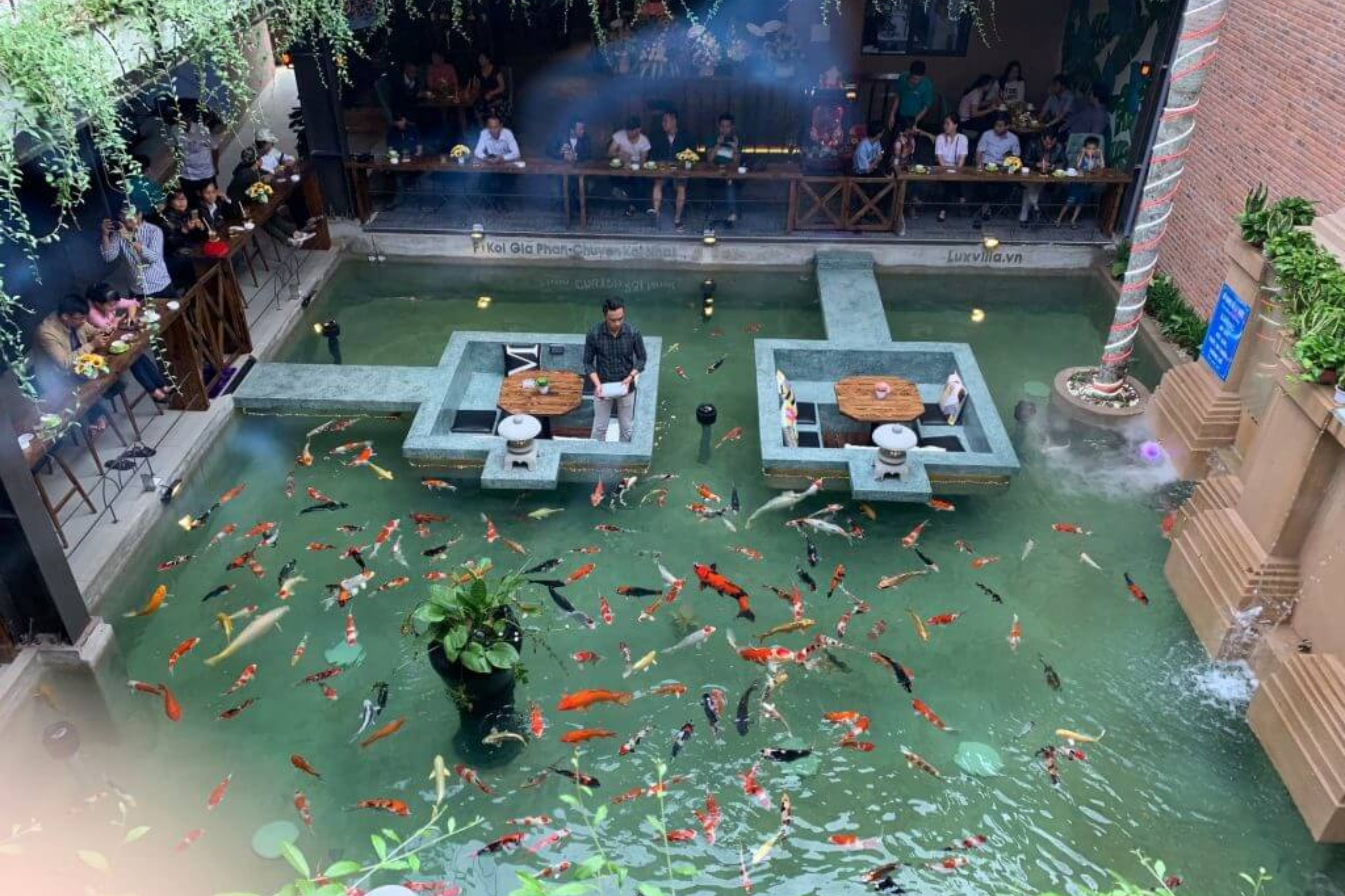 thiet-ke-quan-cafe-ca-koi-2