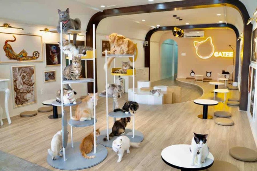 mo-hinh-quan-cafe-10