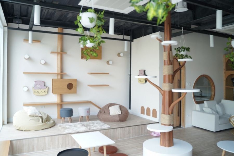 thiet-ke-quan-cafe-meo-1