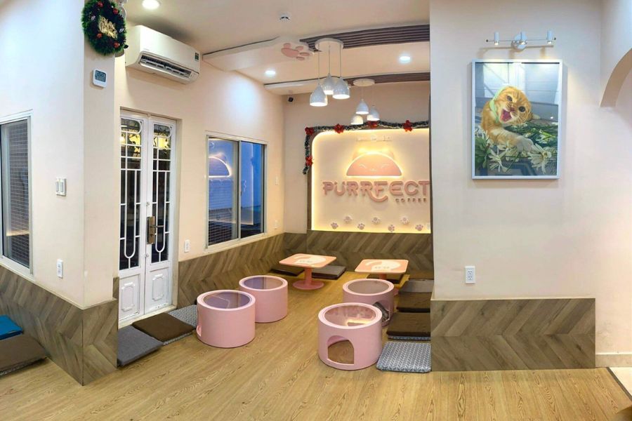 thiet-ke-quan-cafe-meo-12