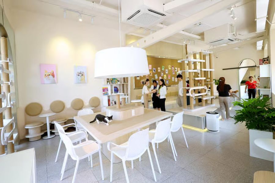 thiet-ke-quan-cafe-meo-14