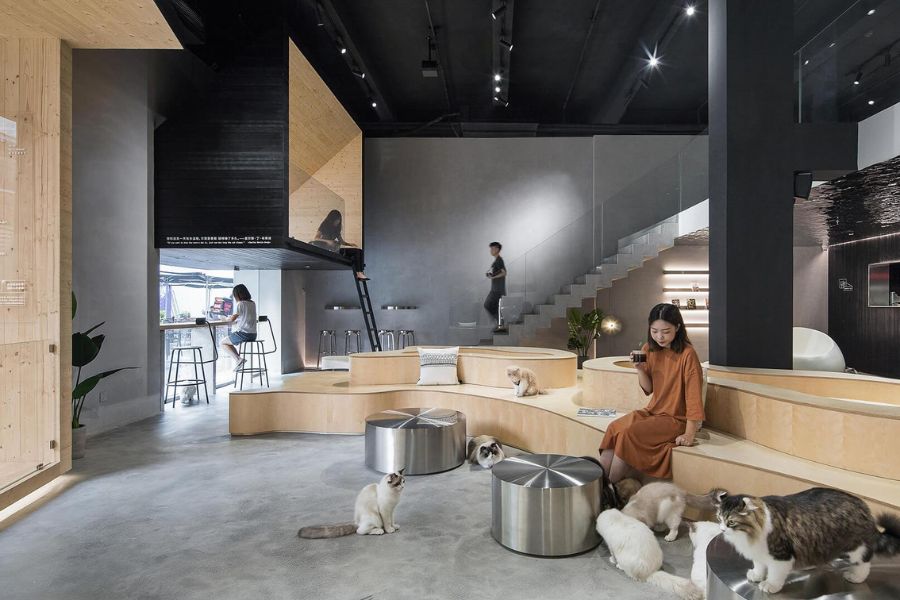 thiet-ke-quan-cafe-meo-15