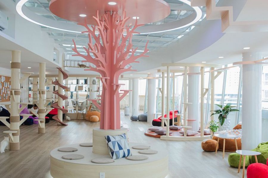 thiet-ke-quan-cafe-meo-4